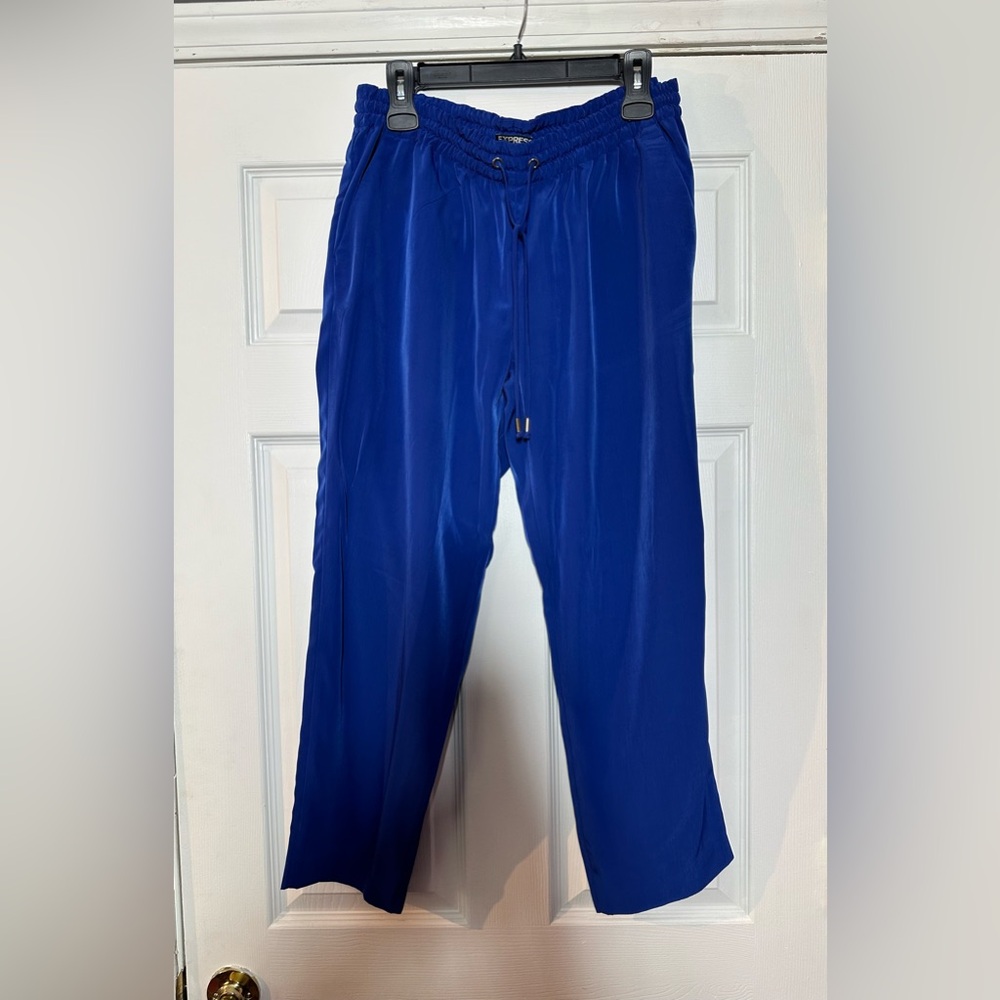 Women blue Express trousers size L